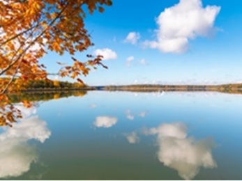 Clear_Thinking_Lake_Image