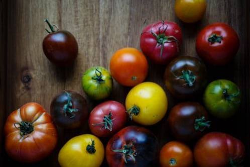 Food_For_Thought_Colorful_Tomatoes_Image